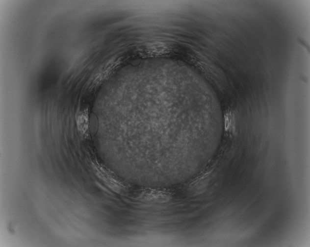 X0000103901011200809191233