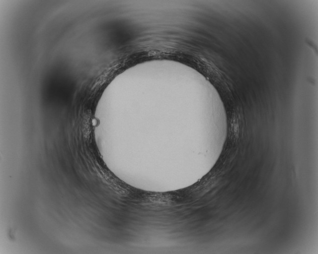 X0000103901012200809191233