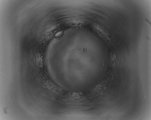 X0000103901013200809191233