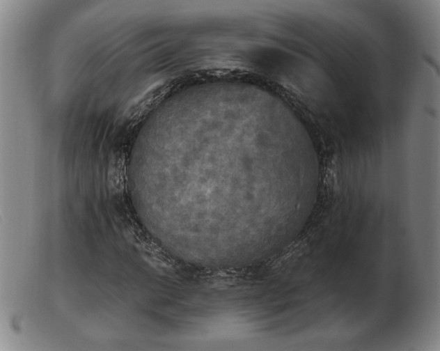 X0000103901014200809191233