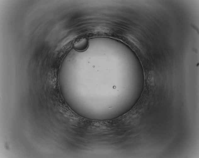 X0000103901015200809191233