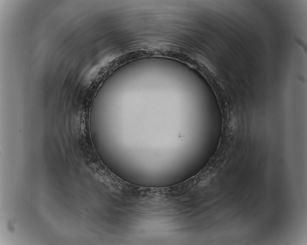 X0000103901016200809191233