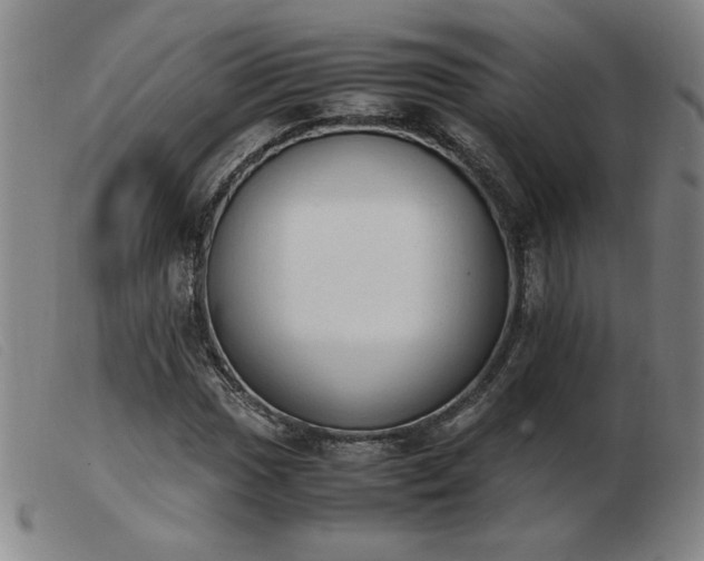 X0000103901017200809191233