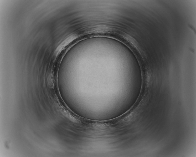 X0000103901018200809191233