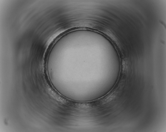 X0000103901020200809191233
