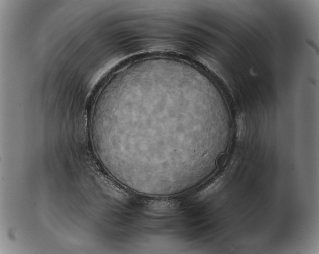 X0000103901021200809191233