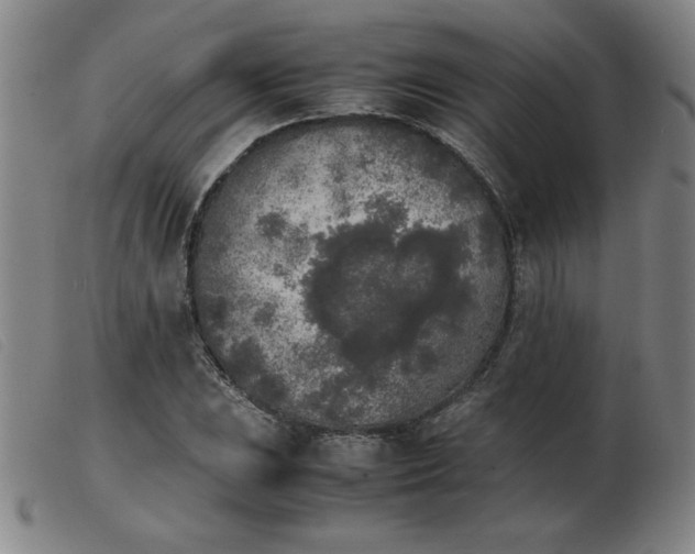 X0000103901023200809191233