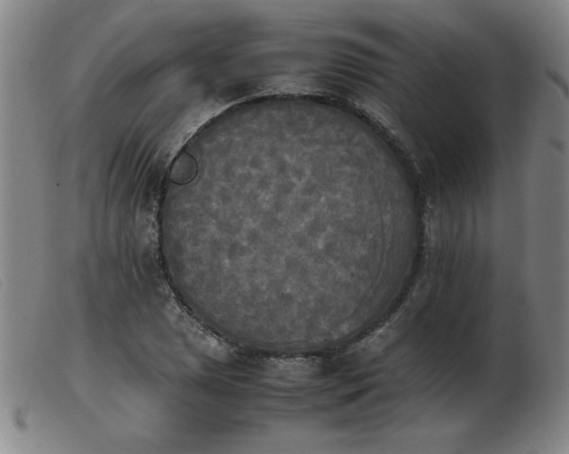 X0000103901025200809191233