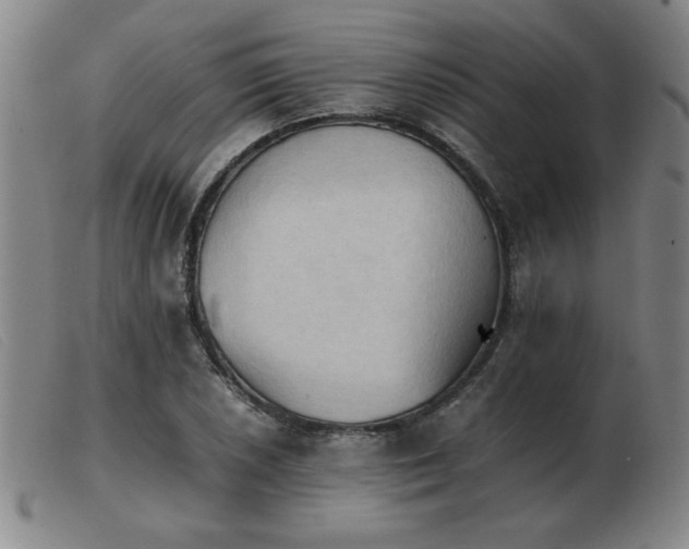 X0000103901026200809191233