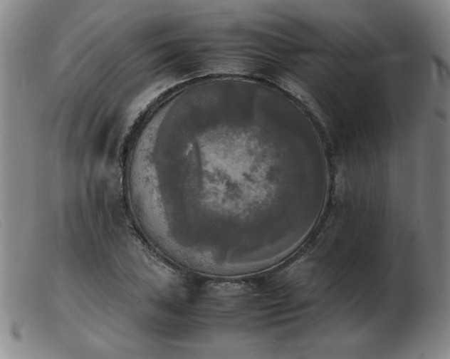 X0000103901027200809191233