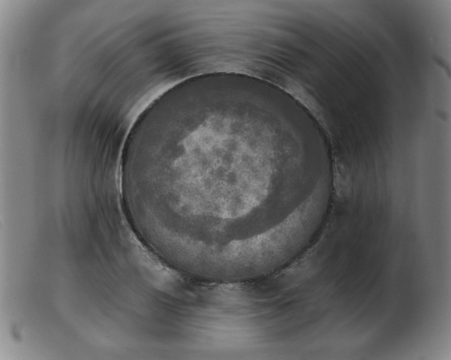X0000103901028200809191233