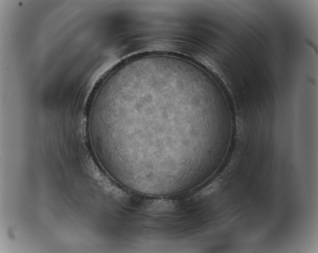 X0000103901029200809191233
