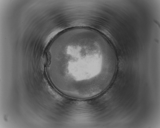 X0000103901030200809191233