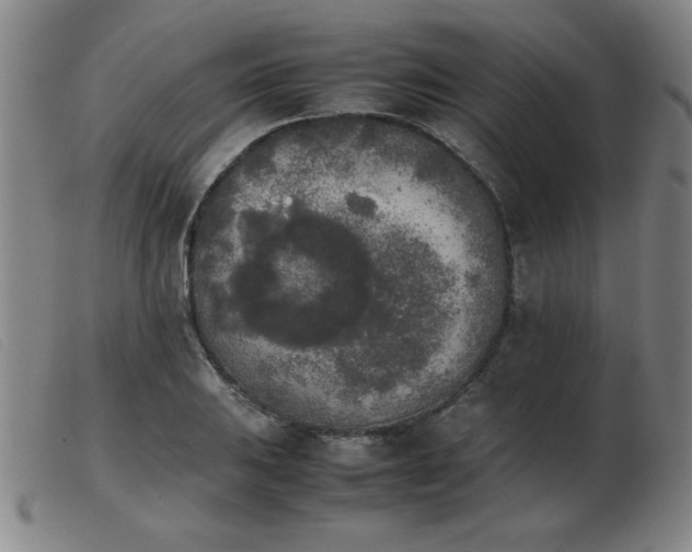 X0000103901031200809191233