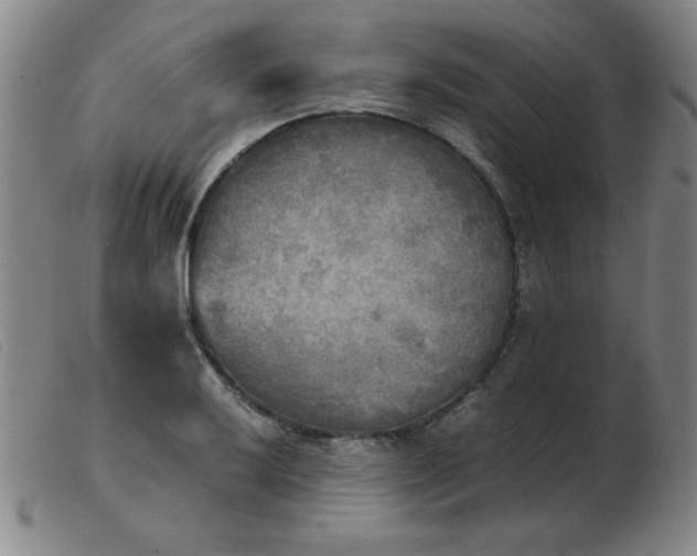 X0000103901032200809191233