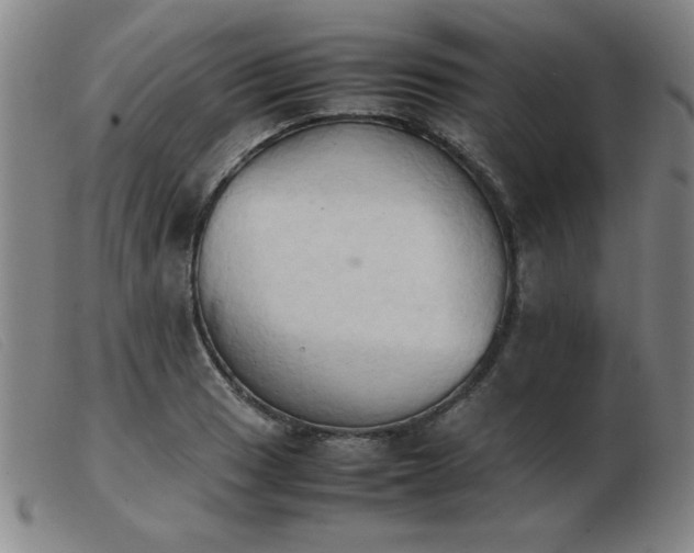 X0000103901033200809191233
