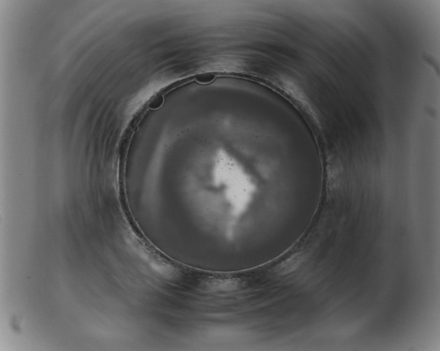 X0000103901035200809191234
