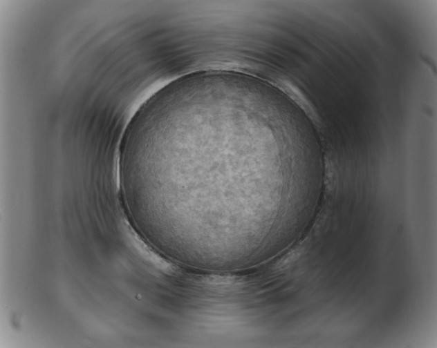 X0000103901036200809191234