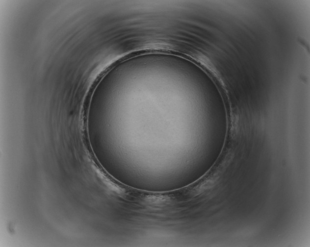 X0000103901037200809191234