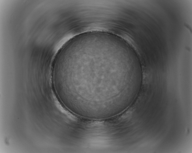 X0000103901038200809191234