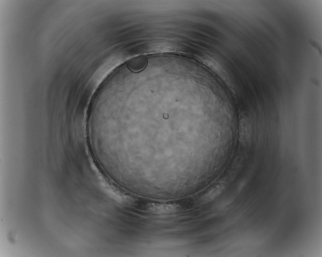 X0000103901039200809191234
