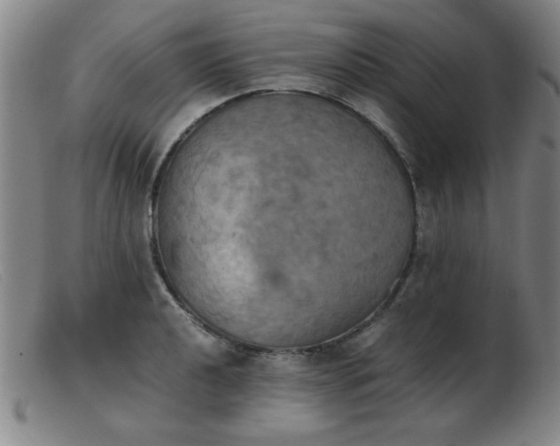 X0000103901040200809191234