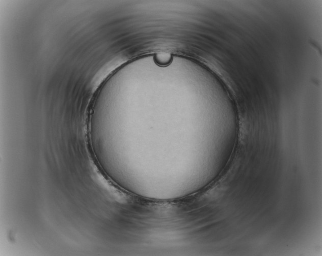 X0000103901042200809191234