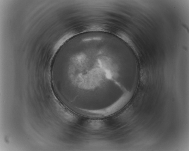 X0000103901043200809191234