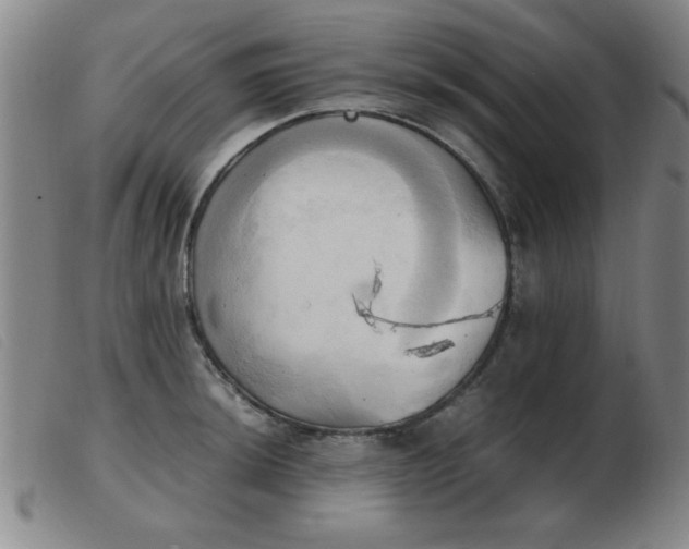X0000103901044200809191234