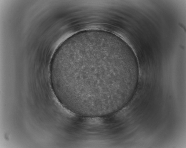 X0000103901045200809191234
