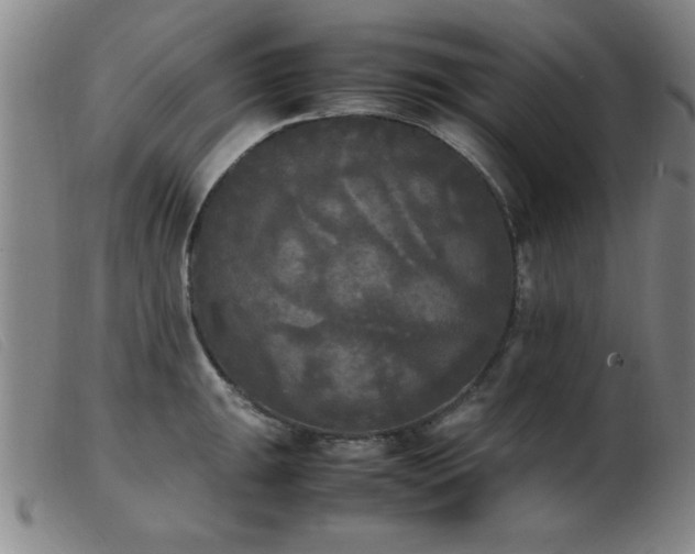 X0000103901047200809191234