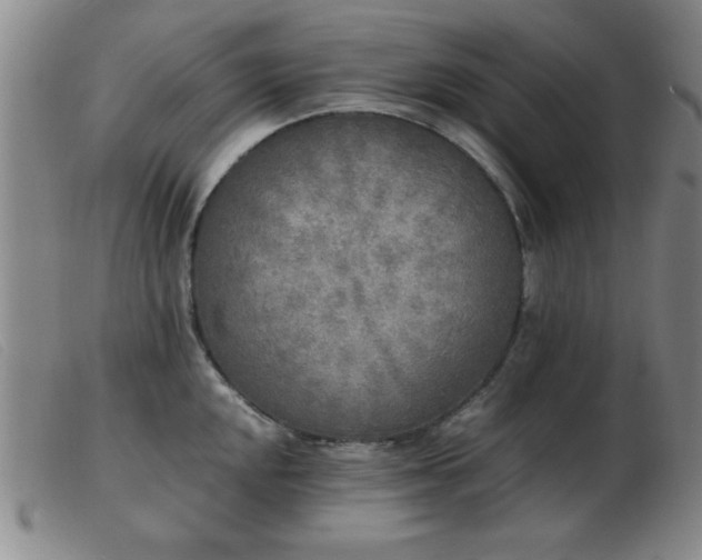X0000103901048200809191234