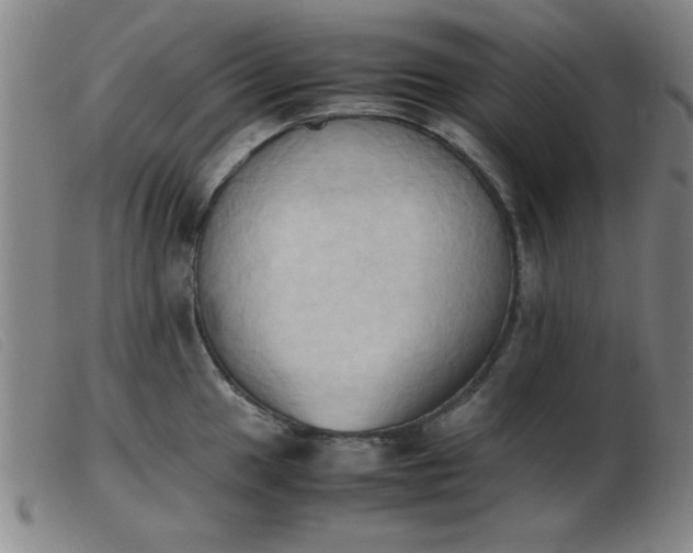 X0000103901049200809191234