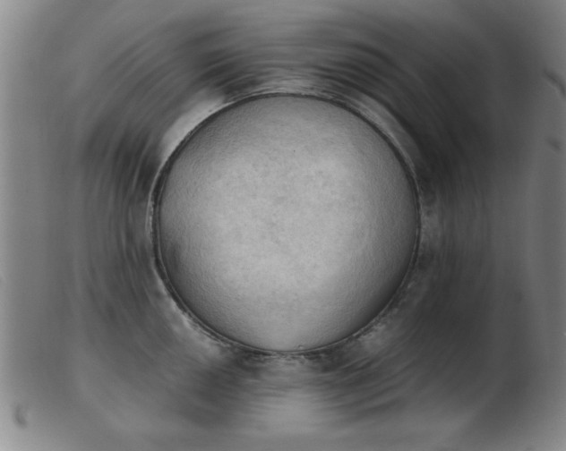 X0000103901050200809191234
