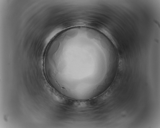 X0000103901051200809191234