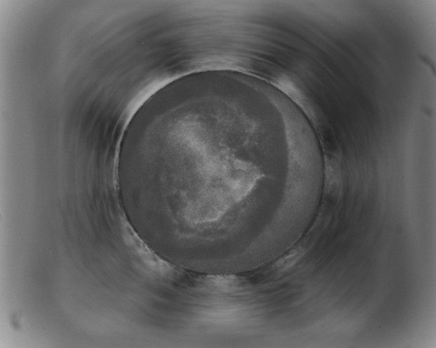 X0000103901052200809191234