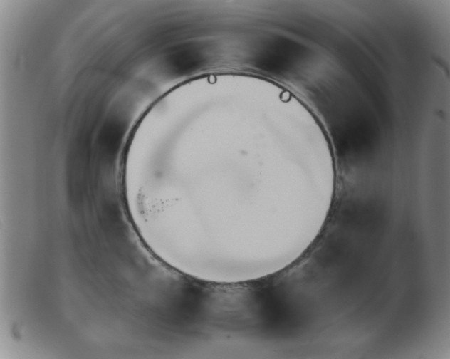 X0000103901053200809191234