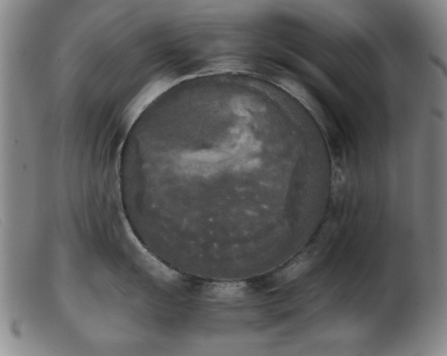 X0000103901055200809191234
