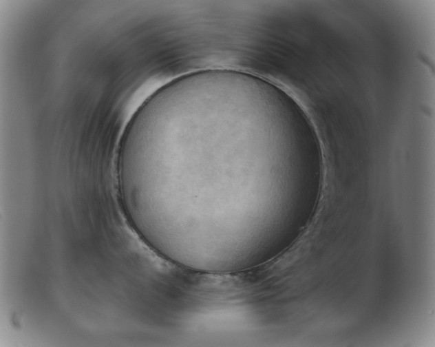 X0000103901056200809191234