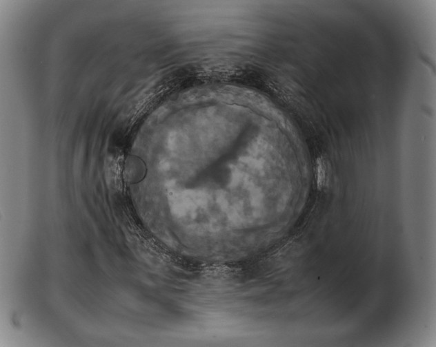 X0000103901059200809191233