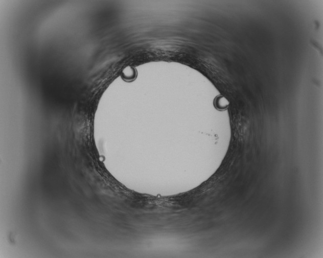 X0000103901061200809191233