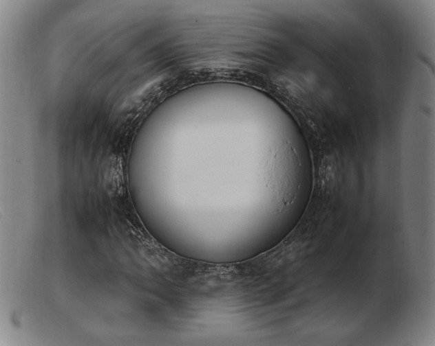X0000103901062200809191233
