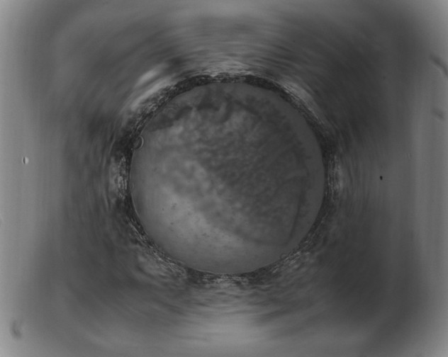 X0000103901063200809191233