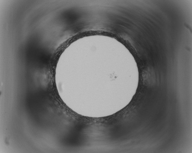 X0000103901064200809191233