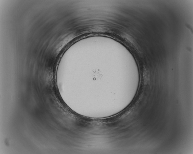X0000103901065200809191233