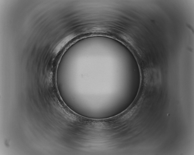 X0000103901066200809191233