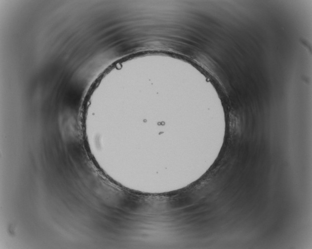 X0000103901068200809191233