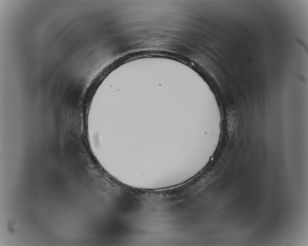 X0000103901069200809191233