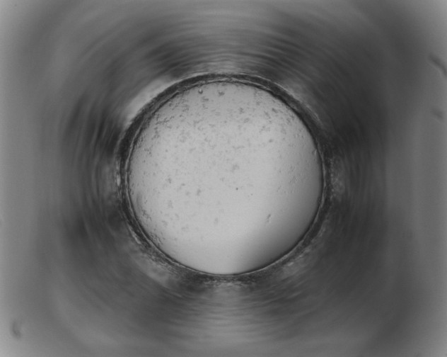 X0000103901070200809191233