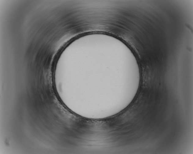 X0000103901072200809191233